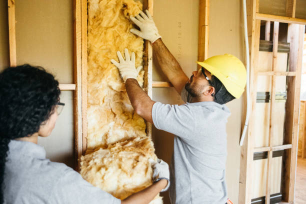 Best Wall Insulation Installation  in Honokaa, HI